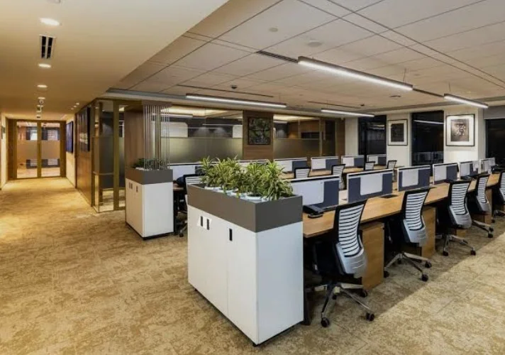 Open-plan office with linear suspended lighting, wood ceiling rafts and desk workstations